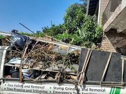 Best Carpet Removal and Disposal  in Ly Lake, IL