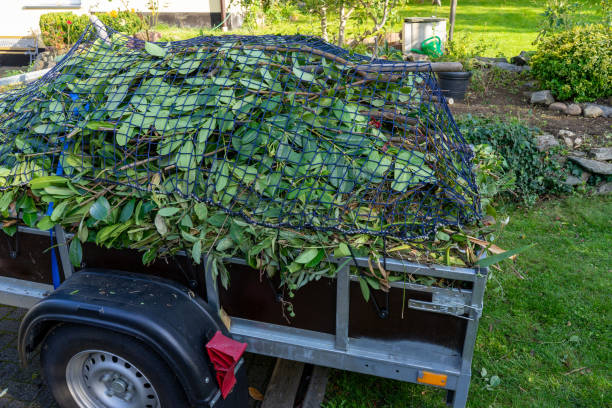 Best Mattress Disposal  in Ly Lake, IL